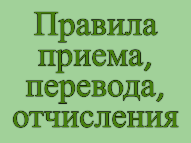 Правила приема, перевода, отчисления.